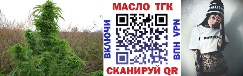 купить наркотик  МЕГА ССЫЛКА  ТГК THC oil  Ртищево 