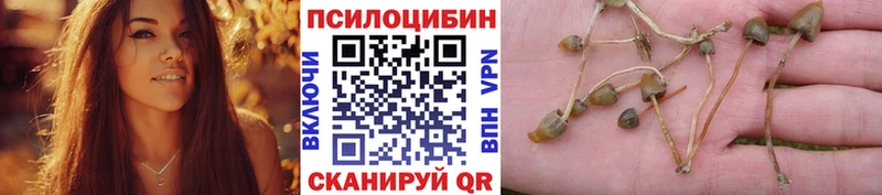 закладки  Ртищево  это клад  Галлюциногенные грибы GOLDEN TEACHER  ссылка на мегу онион 